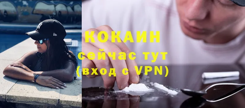 Где можно купить наркотики Гатчина MDMA  МЕФ  ГАШ  Каннабис  A-PVP 